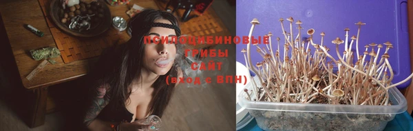 синтетический гашиш Богородск